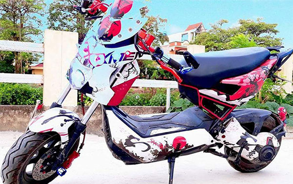 hình ảnh xe đạp điện độ chất