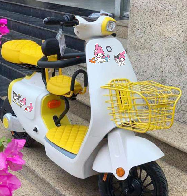 hình ảnh xe đạp điện độ