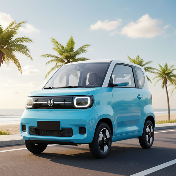 top xe ô tô điện 4 chỗ 2