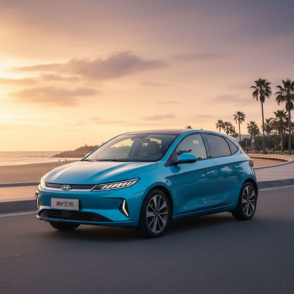 top xe ô tô điện 4 chỗ 3