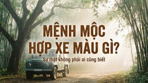 mệnh mộc hợp xe màu gì