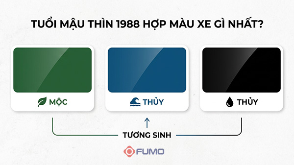 tuổi mậu thìn 1988 hợp xe màu gì nhất
