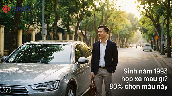 1993 hợp xe màu gì