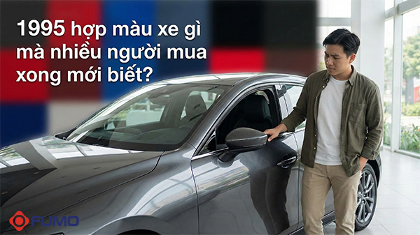 1995 hợp xe màu gì