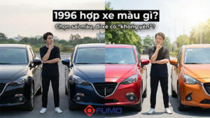 1996 hợp xe màu gì