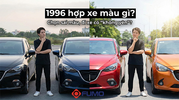 1996 hợp xe màu gì