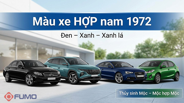 nam sinh năm 1972 hợp màu xe gì theo phong thuỷ