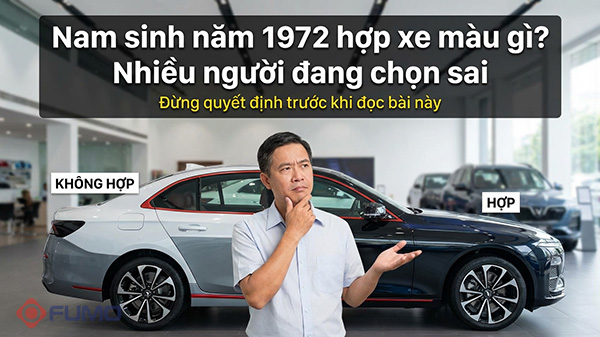 nam sinh năm 1972 hợp màu xe gì