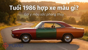 tuổi 1986 hợp xe màu gì