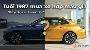 tuổi 1987 mua xe hợp màu gì