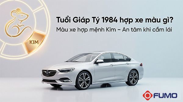 tuổi Giáp tý 1984 hợp xe màu gì