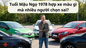 tuổi mậu ngọ 1978 hợp xe màu gì