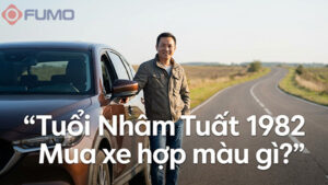 Tuổi nhâm tuất 1982 mua xe hợp màu gì