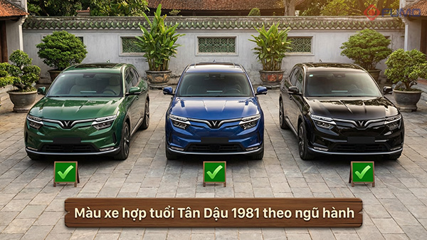 tuổi tân dậu 1981 mua xe hợp màu gì nhất