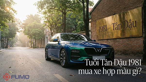 tuổi tân dậu 1981 mua xe hợp màu gì