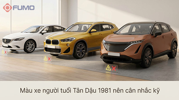 tuổi tân dậu 1981 mua xe nên tránh màu gì