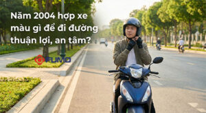 2004 hợp xe màu gì