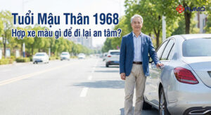 tuổi mậu thân 1968 hợp xe màu gì