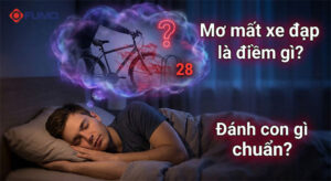 nằm mơ mất xe đạp đánh đề con gì