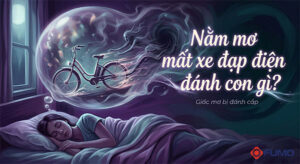nằm mơ mất xe đạp điện đánh con gì